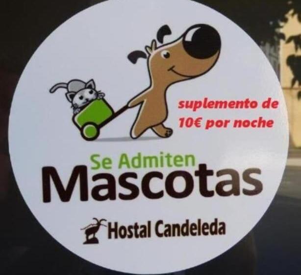 Номер Стандарт с Террасой, Hostal Candeleda