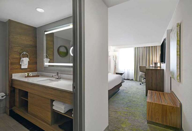 스탠다드 룸 킹사이즈 침대, Hilton Vienna Park