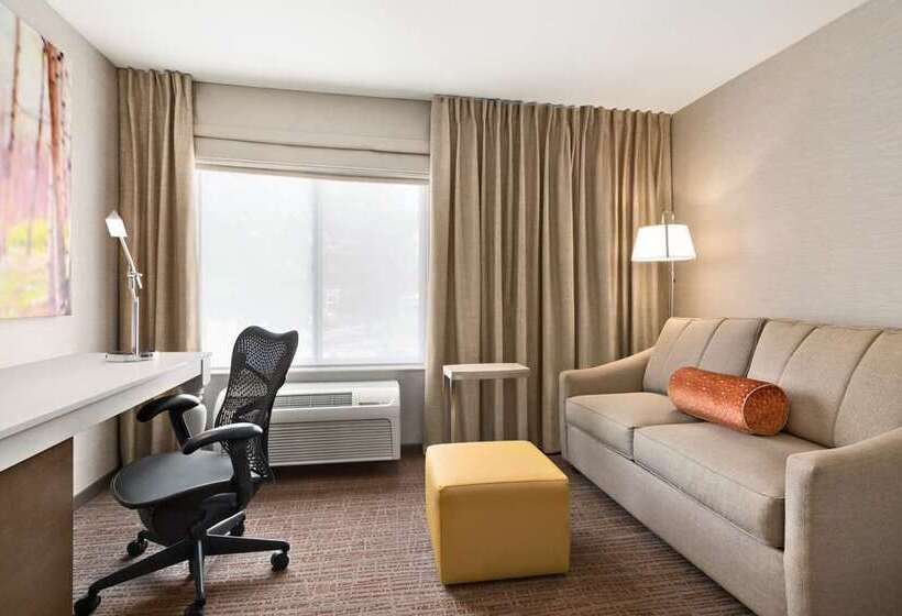 스탠다드 룸 킹사이즈 침대, Hilton Vienna Park
