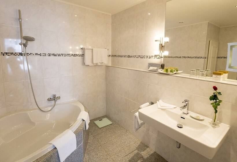 Люкс, Palais Hotel Erzherzog Johann