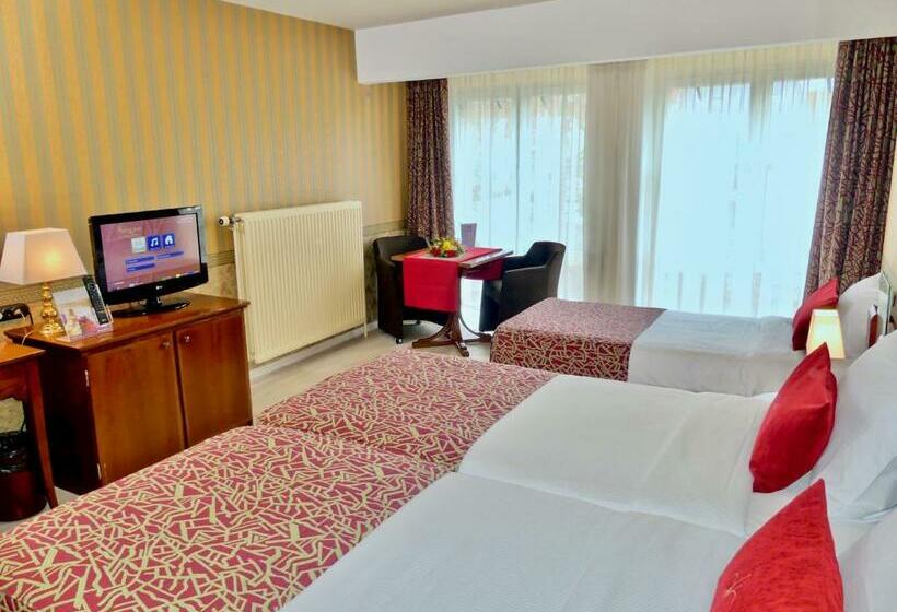 Номер Стандарт Трехместный, Golden Tulip Hotel De’ Medici