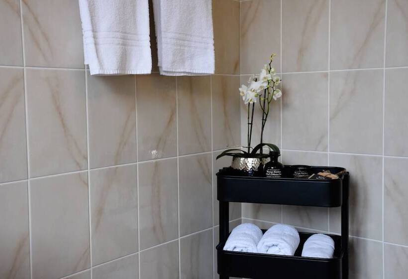 小型套房, Albergo Mirador Ascona