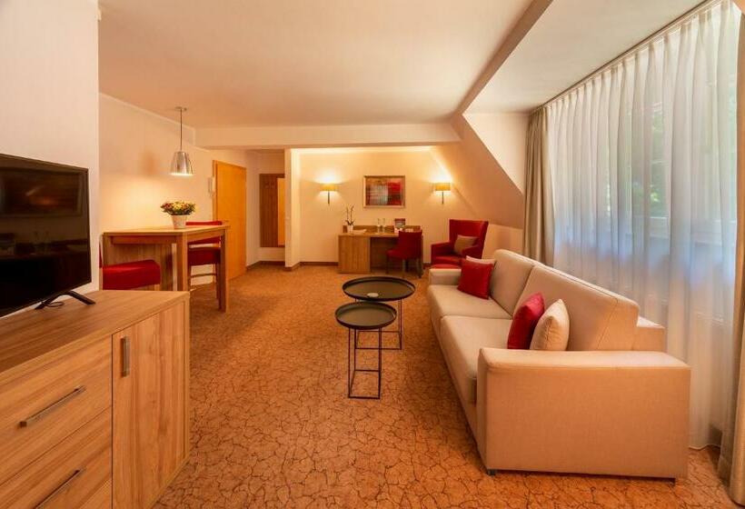 小型套房, Parkhotel Hohenfeld Münster