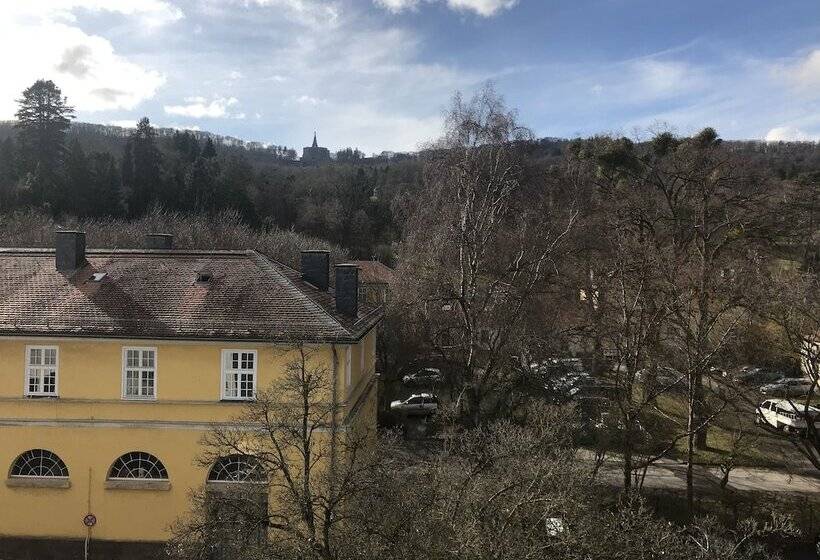Номер Комфорт Индивидуальный, Schlosshotel Kassel