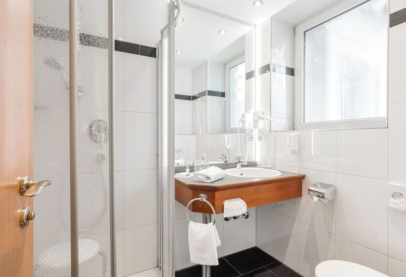 Номер Стандарт Вид на Сад, Gartenhotel Heusser