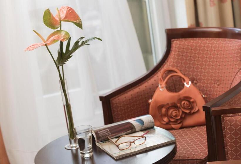 舒适型单人间, Parkhotel 1901 Mannheim