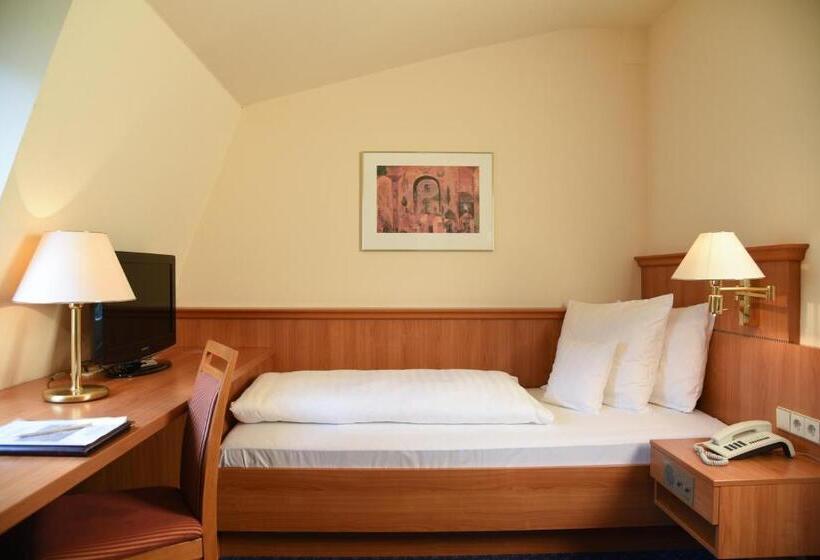 Номер Economy Индивидуальный, Parkhotel Bad Homburg