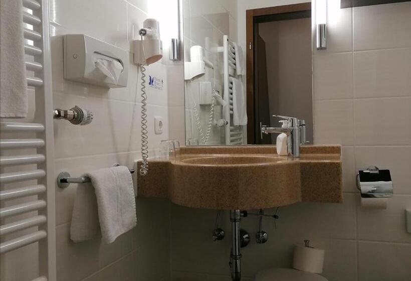Номер Стандарт Индивидуальный, Flair Hotel Dobrachtal