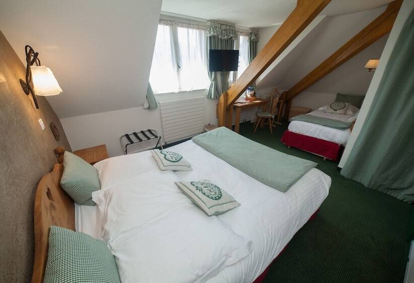 Номер Стандарт Трехместный, Des Princes, Chambery Centre