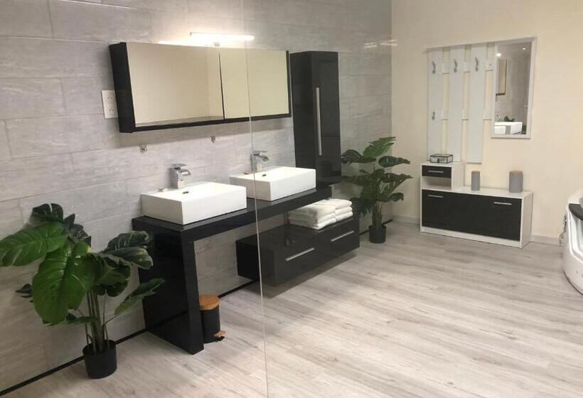 Апартаменты Deluxe 1 Спальня, Hôtel Saint Albert