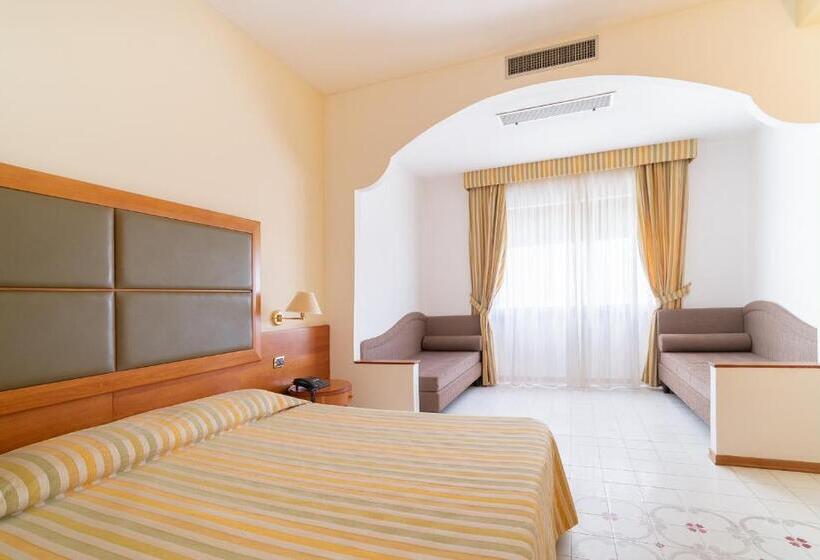 Комфортабельный номер с боковым видом на море, Grand Hotel Don Juan