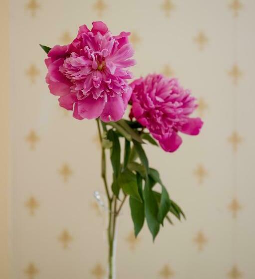 اتاق استاندارد یک نفره, Imperiale By Omnia Hotels