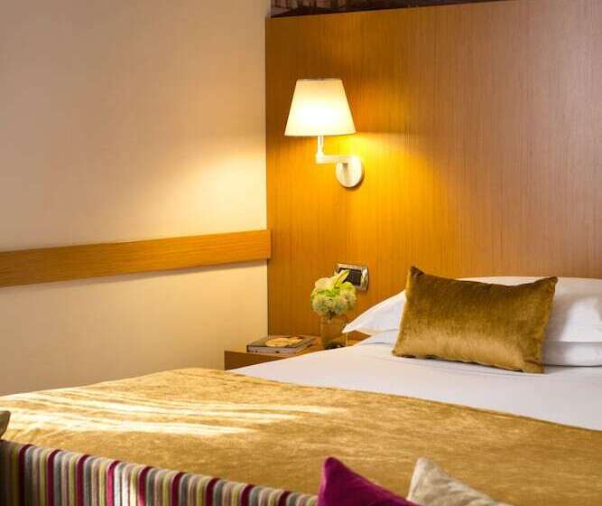 豪华房间, Starhotels Tourist