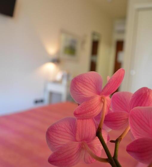 エコノミールーム, Family Hotel Relax