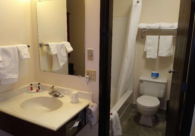 Полулюкс, Loisir Hotel Toyohashi