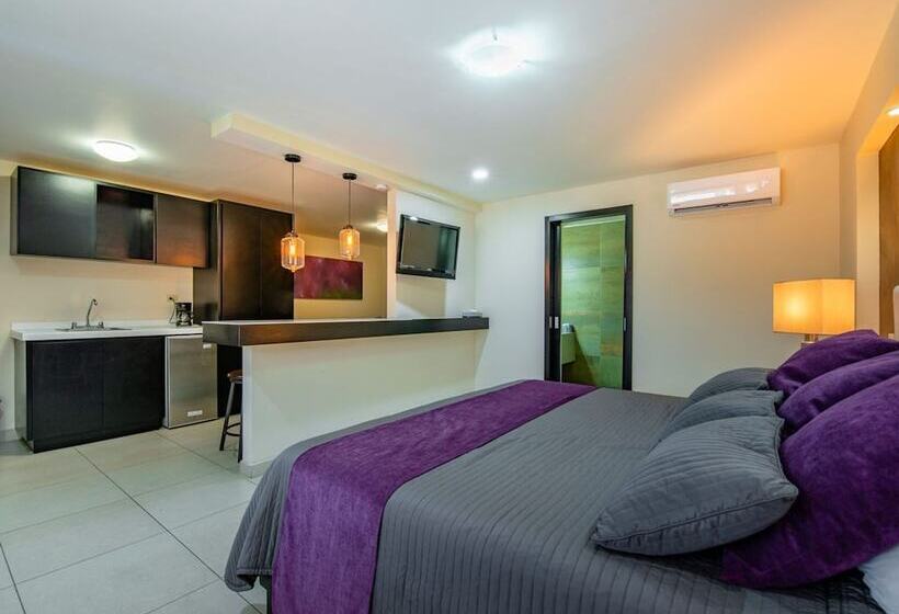 ジュニアスイート, Baja Inn Hoteles Ensenada