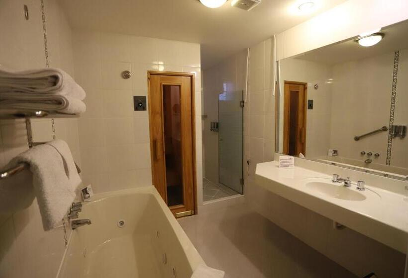 سوئیت جونیور با تراس, Andino Club   Hotel Asociado Casa Andina