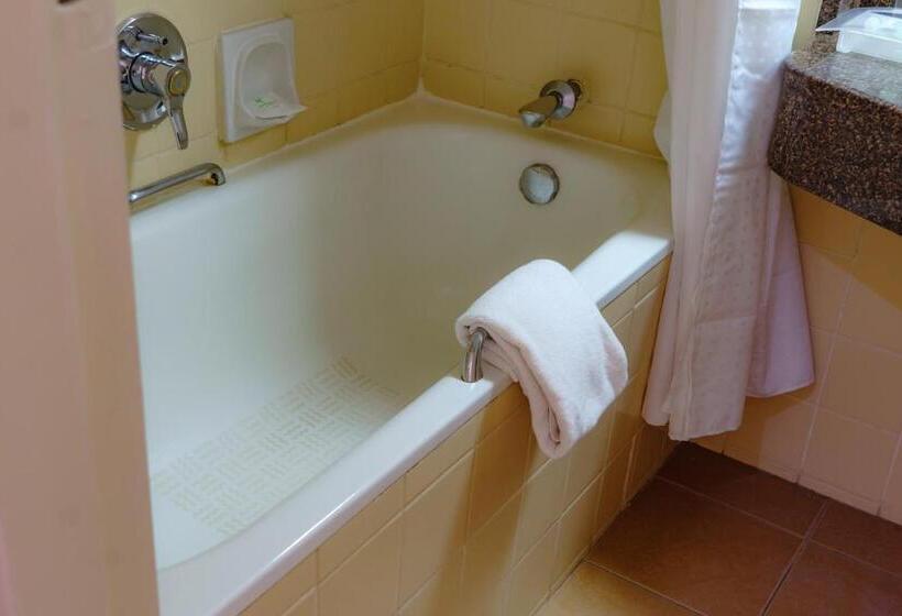 اتاق استاندارد, Holiday Inn   Harare, An Ihg