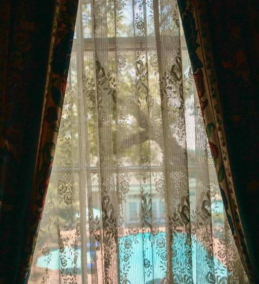 سوییت لوکس, Anchuca Historic Mansion & Inn