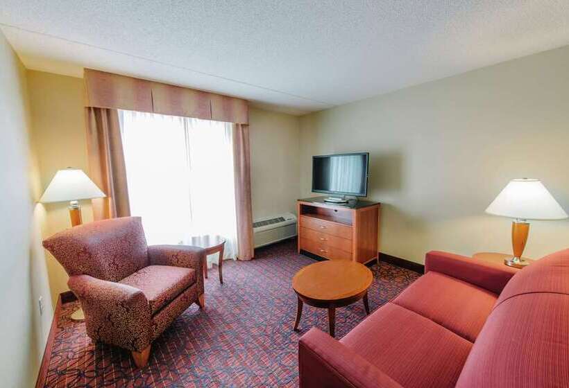 Quarto Estandar Cama King, Hilton Atlanta Airport