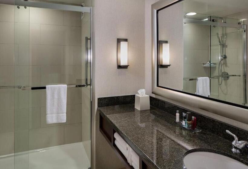 Suite met Kingsize Bed, Houston Marriott Westchase