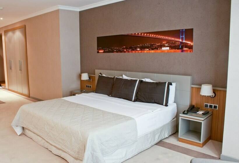 اتاق اجرایی, Klas Hotel Istanbul Old City