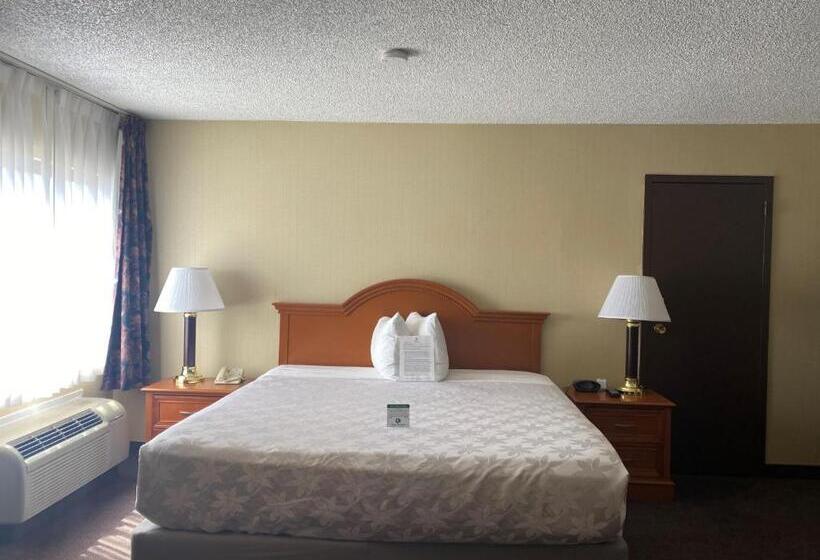 اتاق استاندارد با تخت بزرگ, Surestay Plus Hotel By Best Western Reno Airport