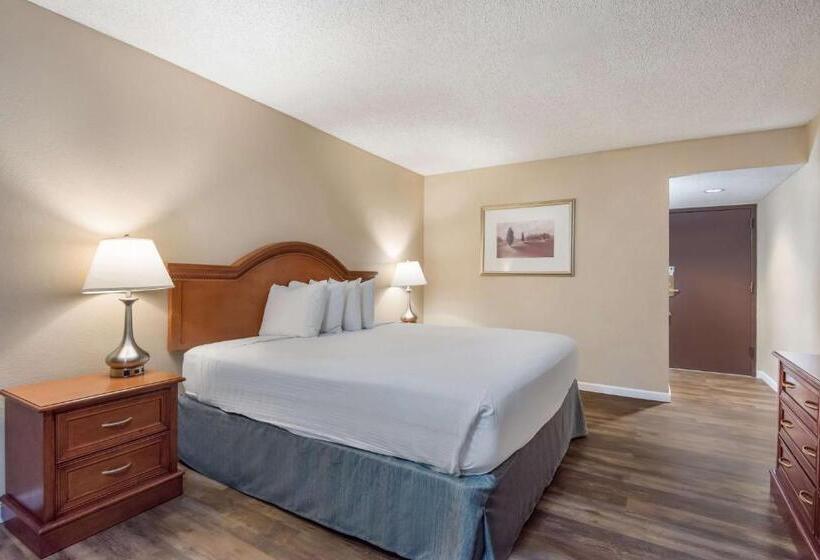 اتاق استاندارد با تخت بزرگ, Surestay Plus Hotel By Best Western Reno Airport