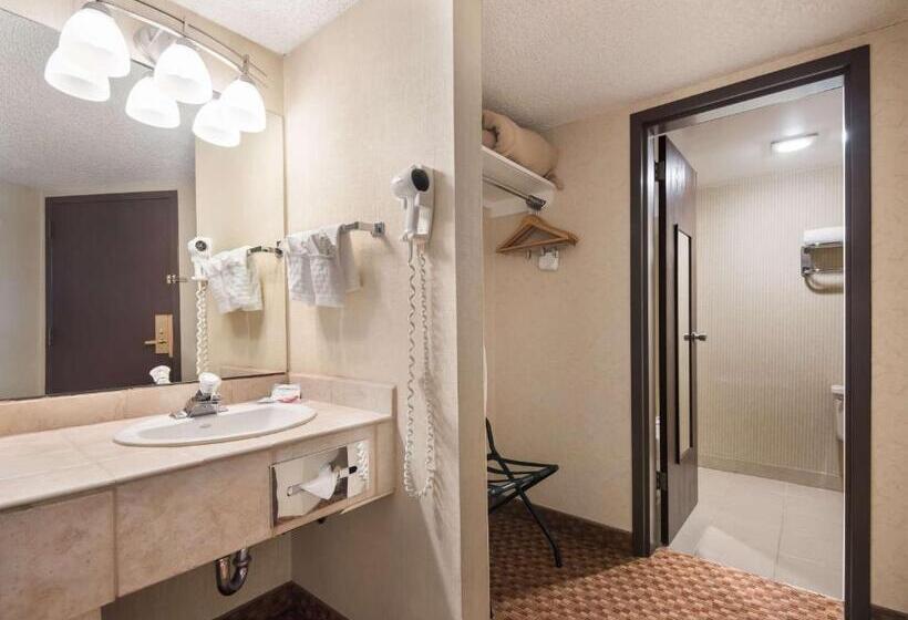 اتاق استاندارد با تخت بزرگ, Surestay Plus Hotel By Best Western Reno Airport
