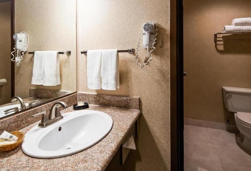 سوئیت با تخت بزرگ, Surestay Plus Hotel By Best Western Reno Airport