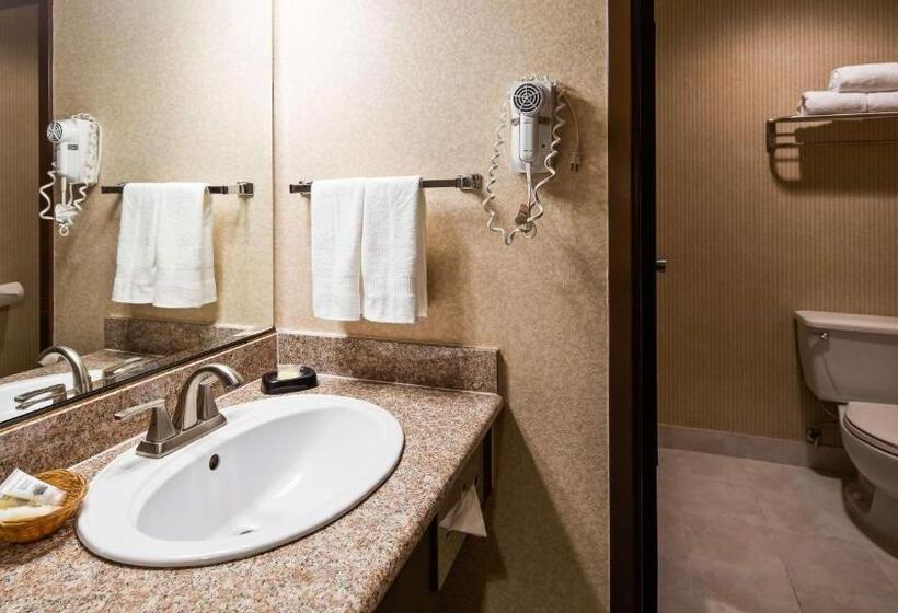 اتاق استاندارد, Surestay Plus Hotel By Best Western Reno Airport