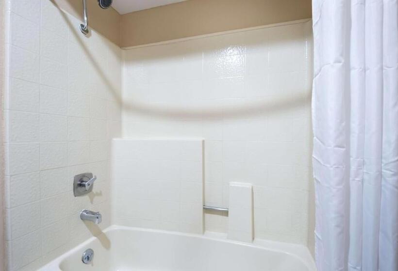 اتاق استاندارد, Surestay Plus Hotel By Best Western Reno Airport