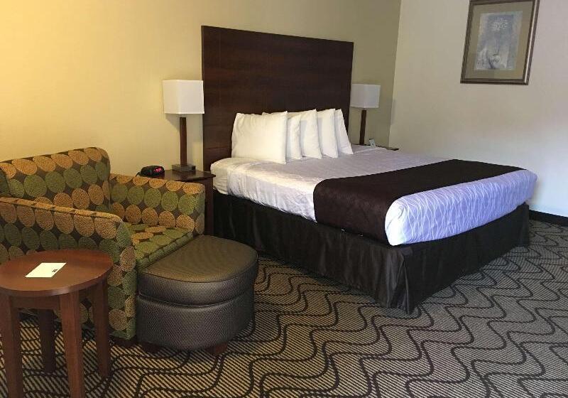 Стандартный Номер Кровать Кинг, Best Western Heritage Inn