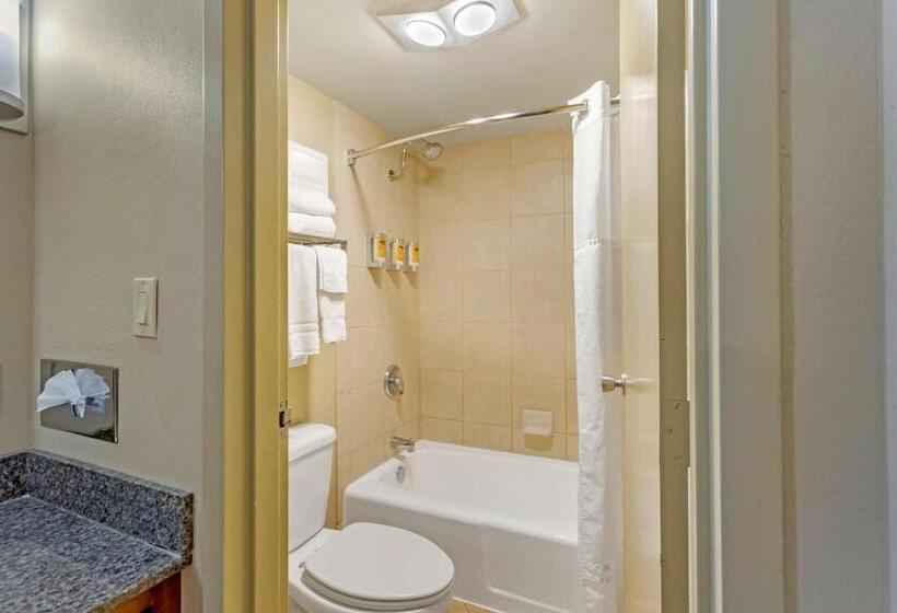 Номер Стандарт, Best Western Plus Burley Inn & Convention Center