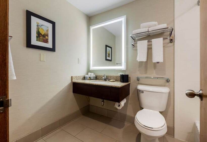 스탠다드 룸 더블 침대 2개, Best Western Plus Dubuque Hotel And Conference Center