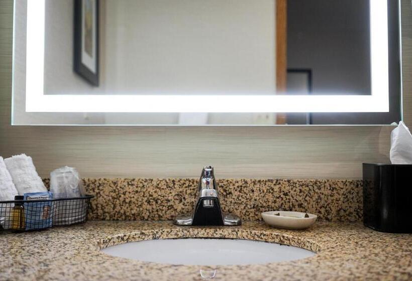 스탠다드 룸 킹사이즈 침대, Best Western Plus Dubuque Hotel And Conference Center