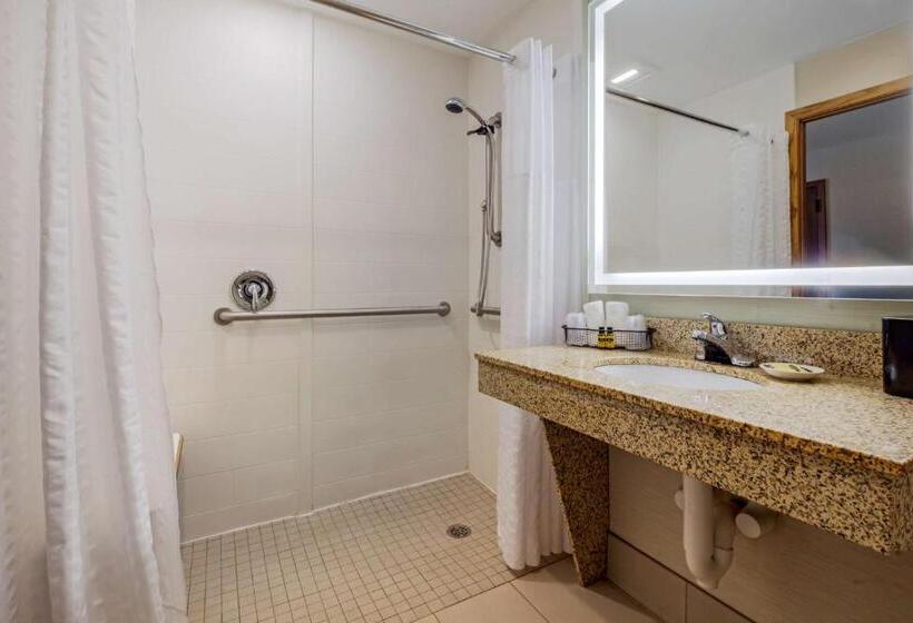 장애인을 위한 스탠다드 룸, Best Western Plus Dubuque Hotel And Conference Center