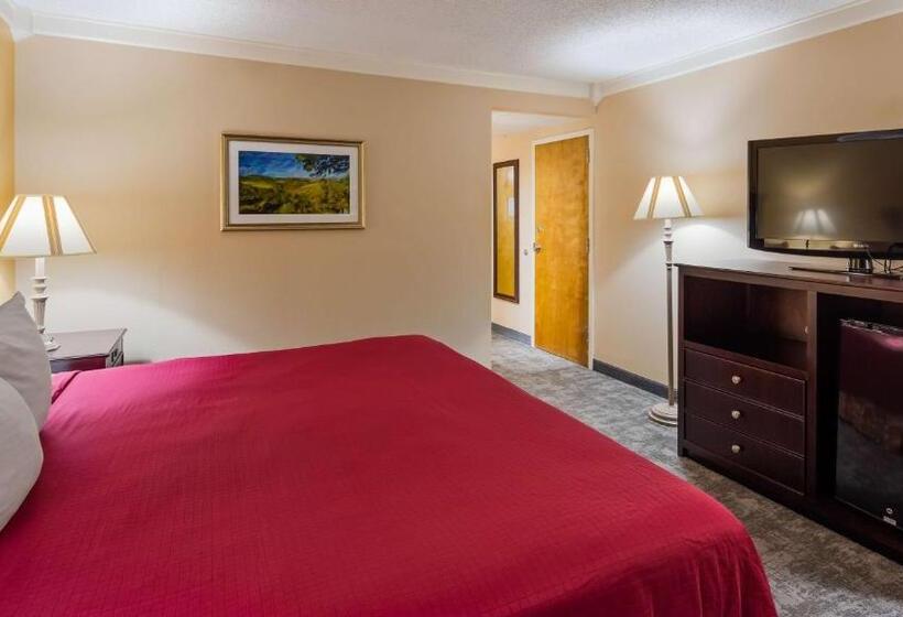 스탠다드 룸 킹사이즈 침대, Osage Creek Lodge