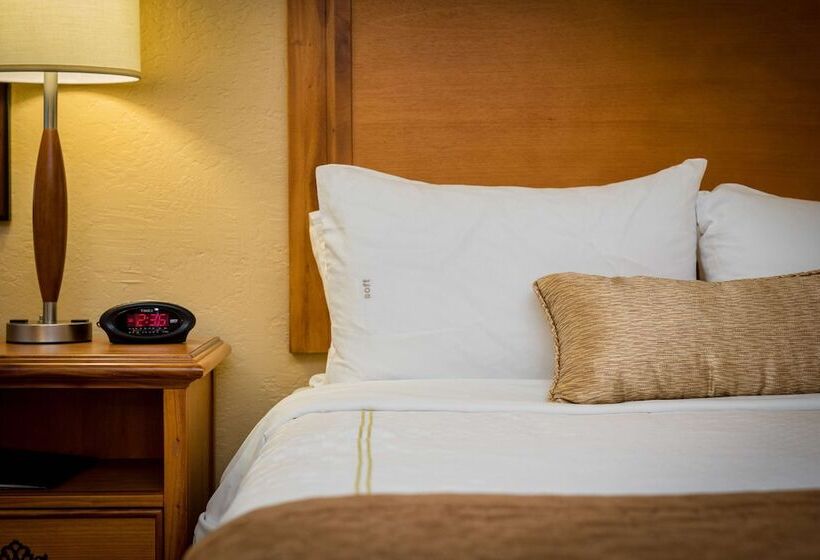 Standaardkamer Aangepast voor Gehandicapten, Sfo El Rancho Inn Surestay Collection By Best Western