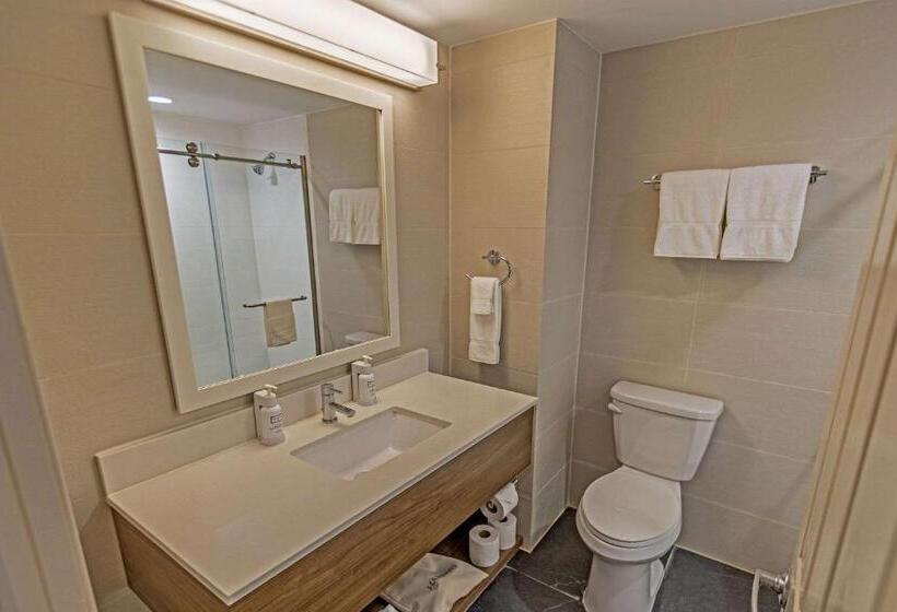 Номер Стандарт Адаптированный для Инвалидов, The Penn Stroud, Stroudsburg   Poconos, Ascend Hotel Collection