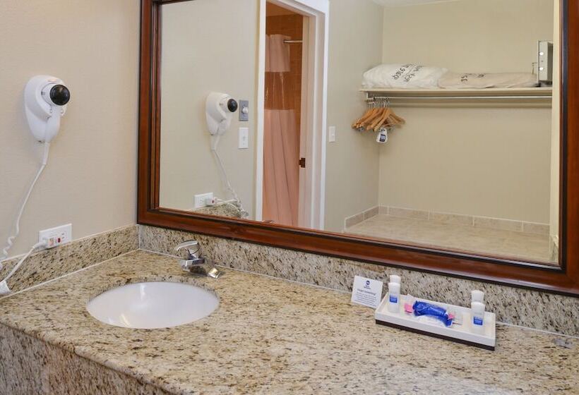 Номер Стандарт 2 Двуспальные Кровати, Best Western University Inn