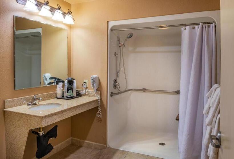 اتاق استاندارد برای معلولان, Best Western Vista Inn At The Airport