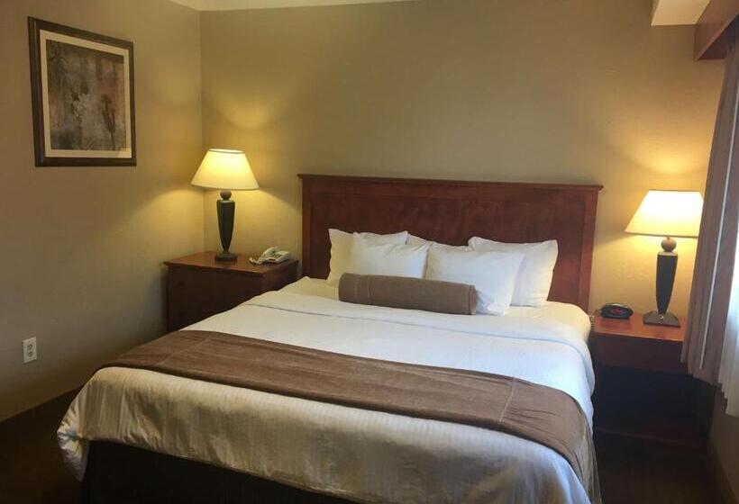 اتاق استاندارد با تخت بزرگ برای معلولان, Best Western Vista Inn At The Airport