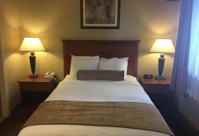 اتاق استاندارد با تخت بزرگ, Best Western Vista Inn At The Airport