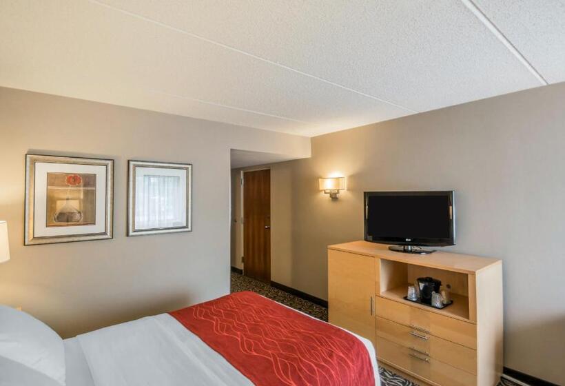 Номер Стандарт Адаптированный для Инвалидов, Comfort Inn   Nys Fairgrounds