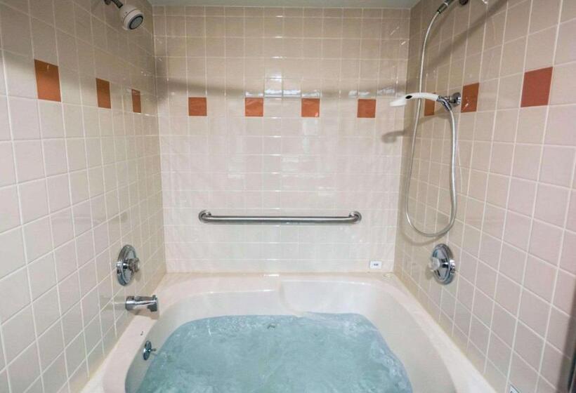 Стандартный Номер Кровать Кинг, Comfort Inn   Nys Fairgrounds