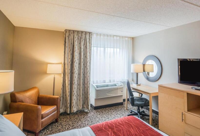 Номер Стандарт Двуспальная Кровать Адаптированный для Инвалидов, Comfort Inn   Nys Fairgrounds