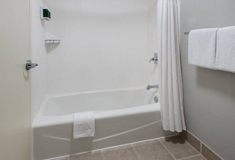 带2个双人床的标准工作室, Courtyard By Marriott Annapolis