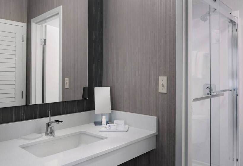 Номер Стандарт 2 Двуспальные Кровати, Courtyard Philadelphia Devon/villanova