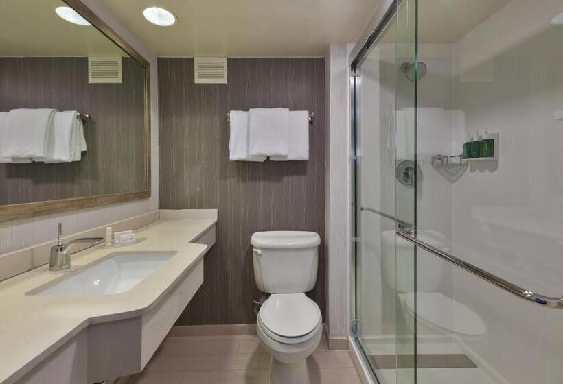 Номер Deluxe Адаптированный для Инвалидов, Courtyard By Marriott Secaucus Meadowlands